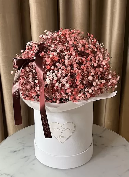 Czerwona świeża GIPSÓWKA w dużym białym welurowym boxie - kwiaty w pudełkach | flower box